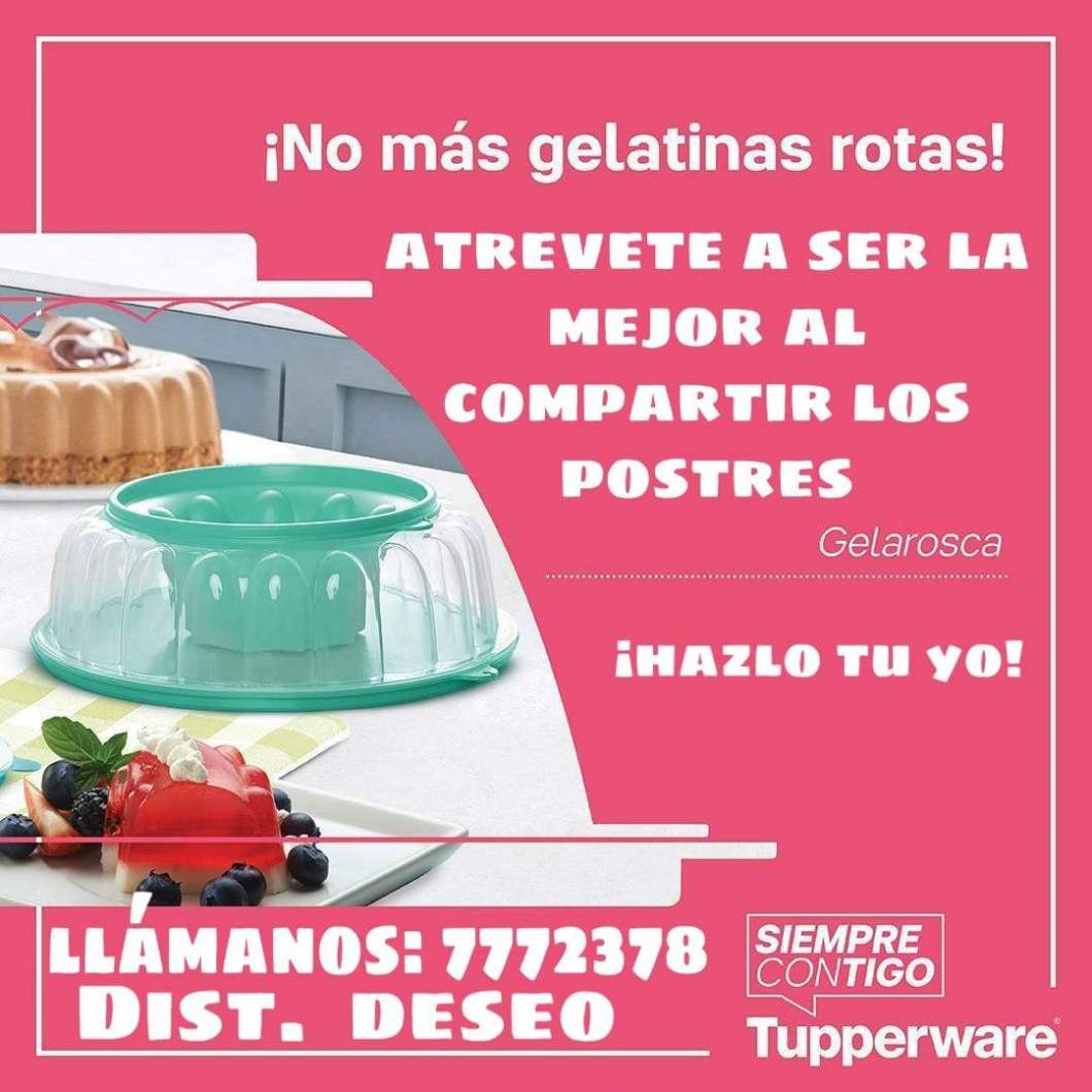 Distribuidora deseo S.A de C.V_2